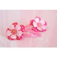 Snap Clips